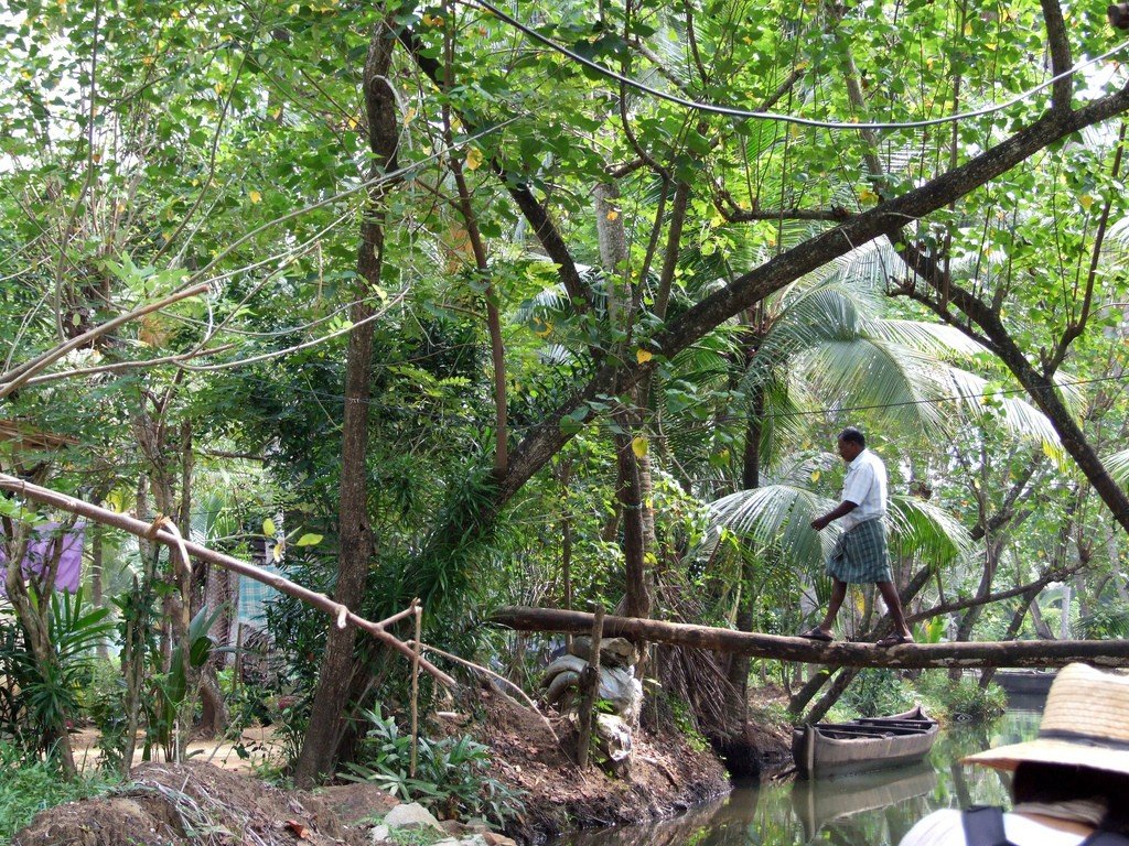 Day Tour Kovalam, day houseboat tour