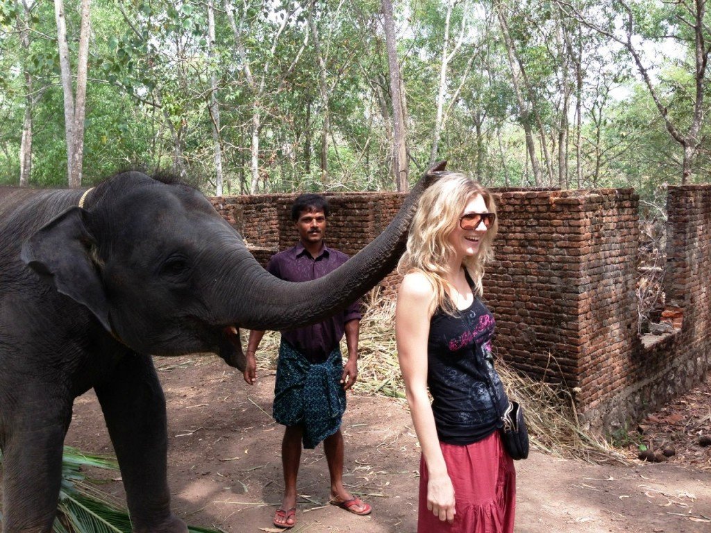 Elephant Ride Tour Kovalam