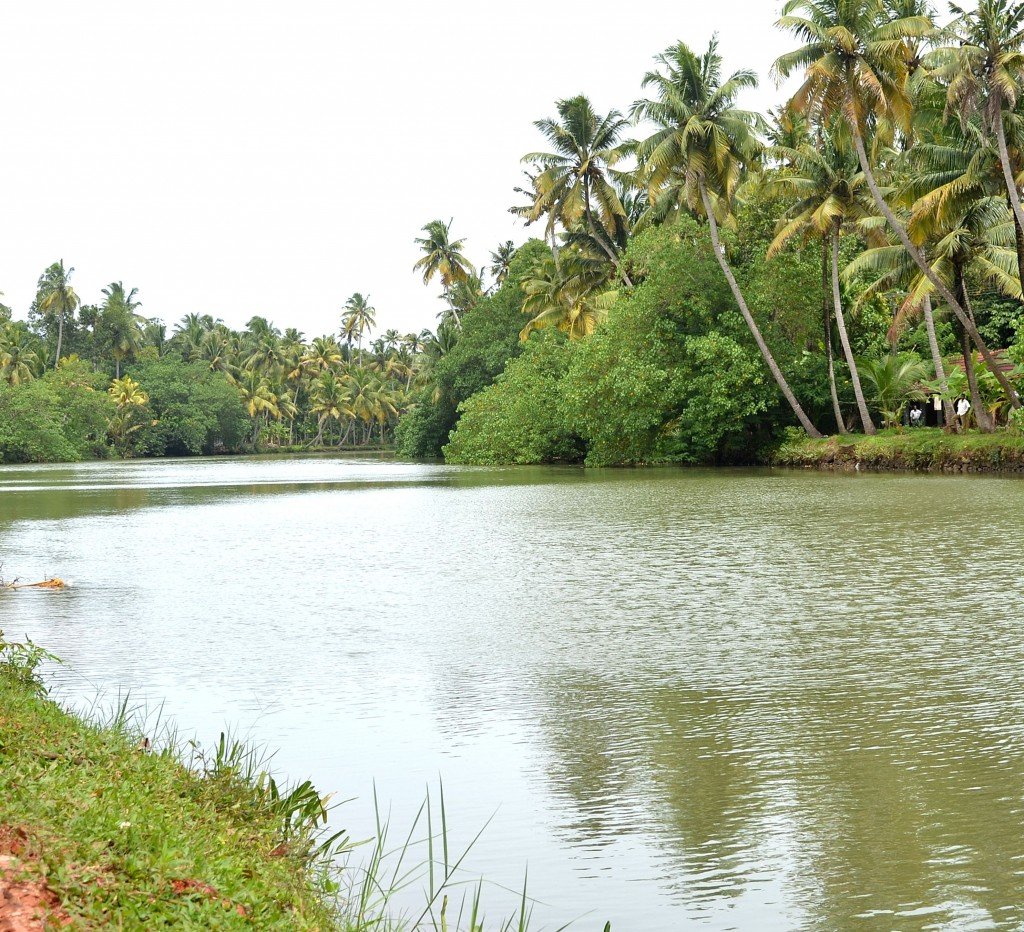 day tour kovalam, day houseboat trip , day trip kovalam - Kerala Travel ...