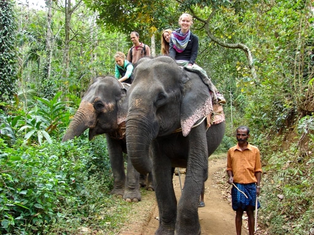 elephant ride kovalam, elephant ride kerala