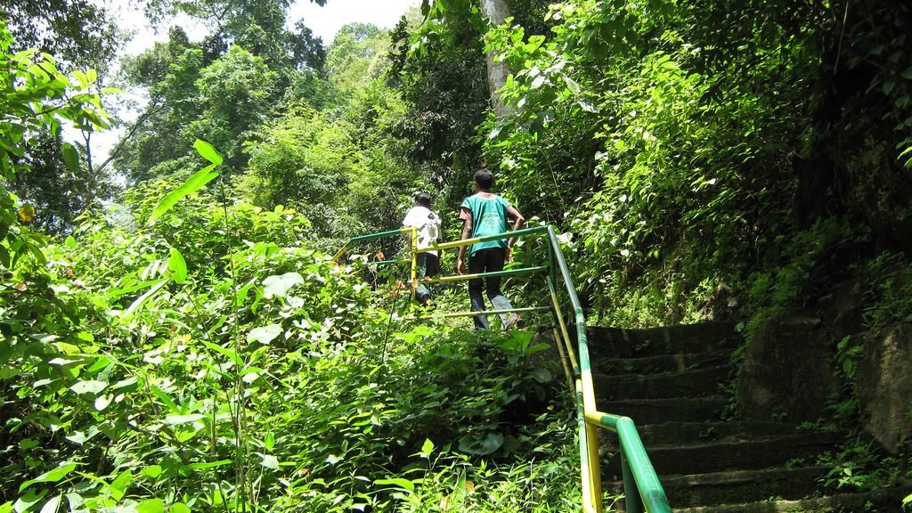 Trivandrum spice garden tour