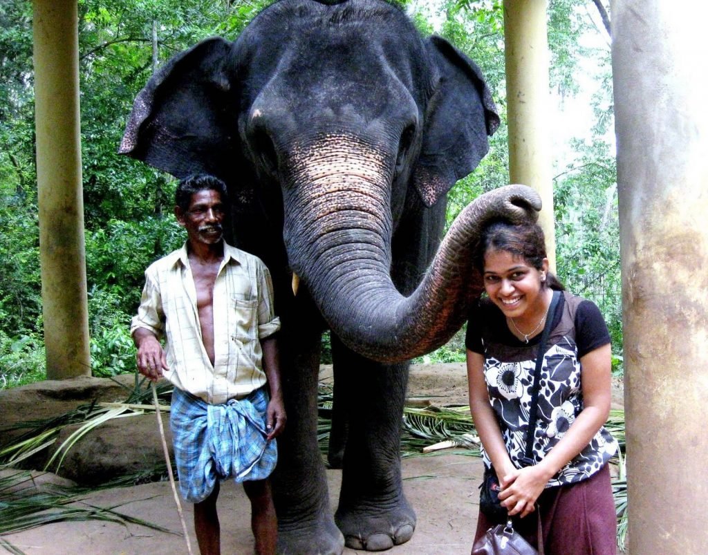 elephant tour kovalam