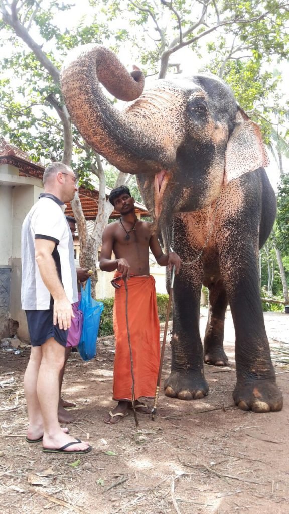 elephant ride near kovalam