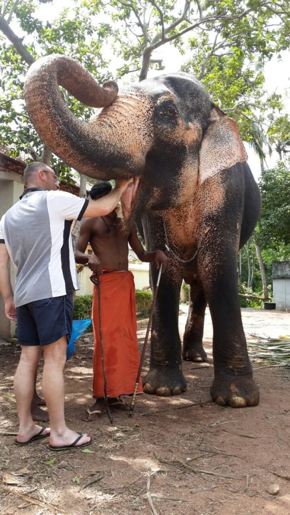 elephant ride kovalam