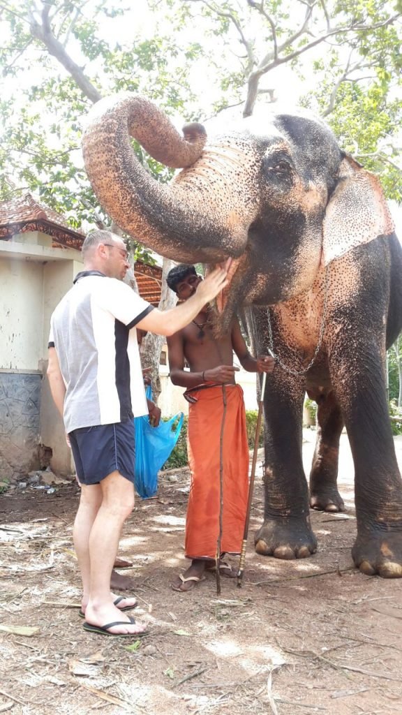 elephant ride in kovalam