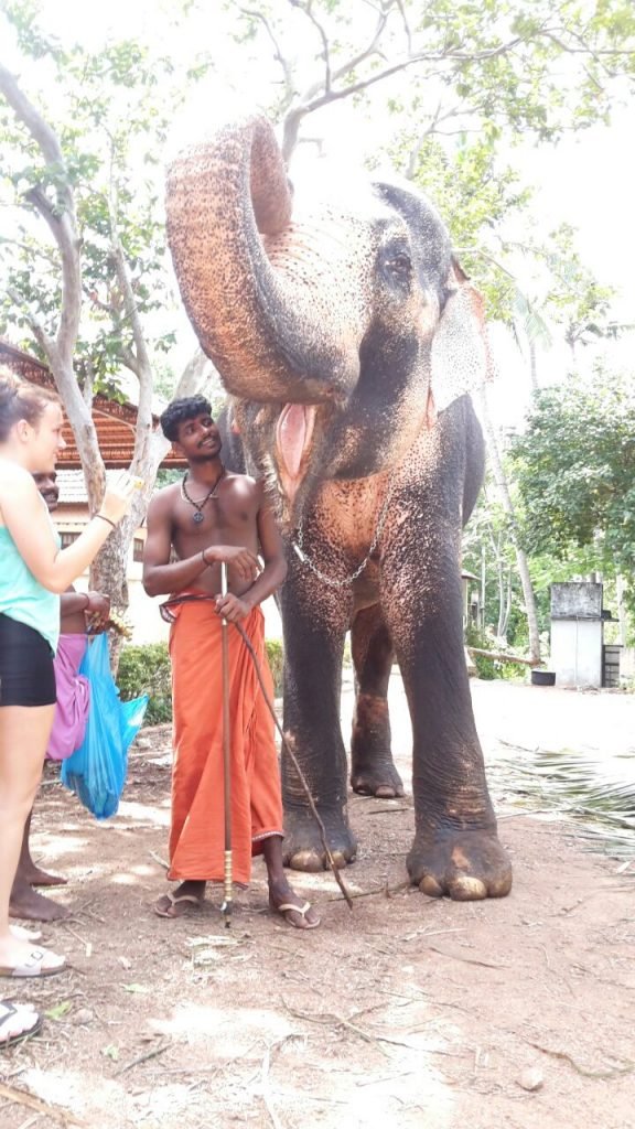 elephant ride trivandrum