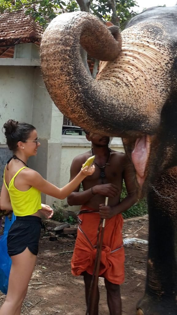elephant ride in trivandrum
