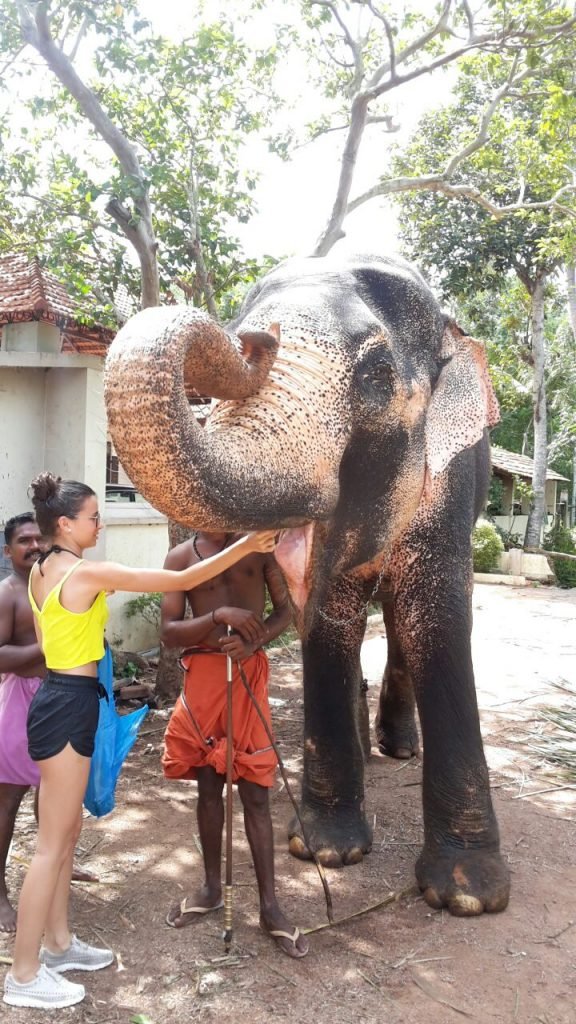 elephant ride tour kovalam