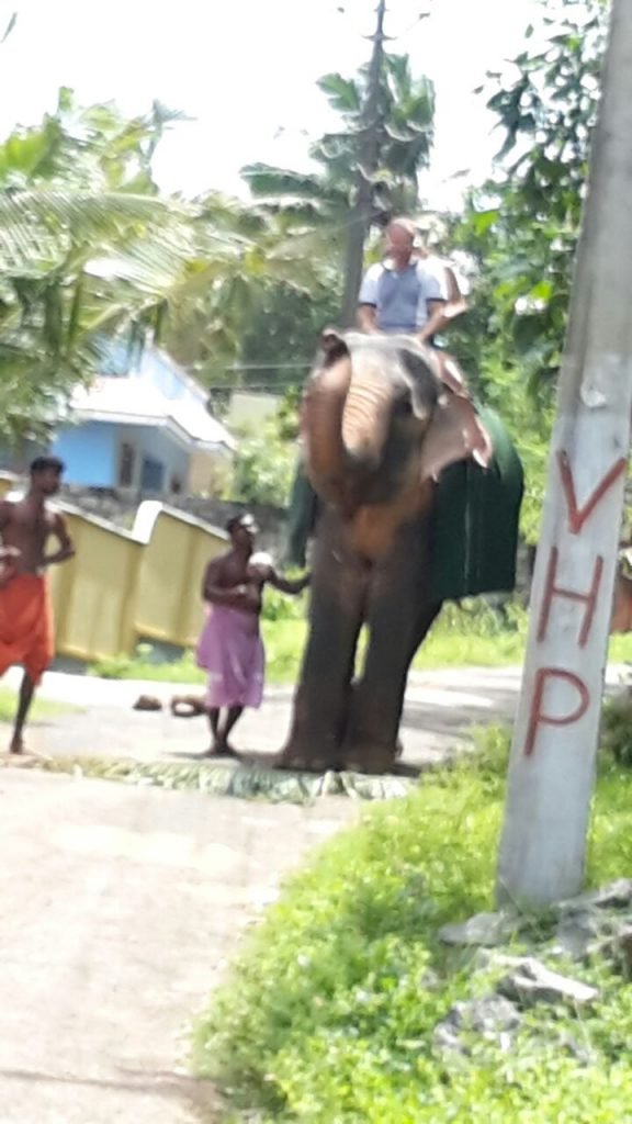 elephant ride tour trivandrum