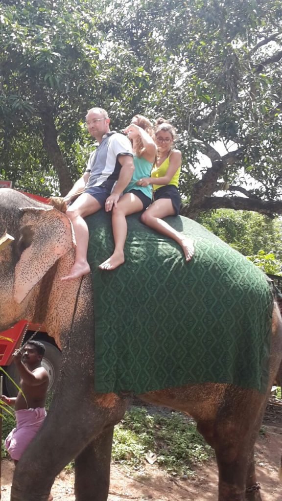 elephant ride at kerala