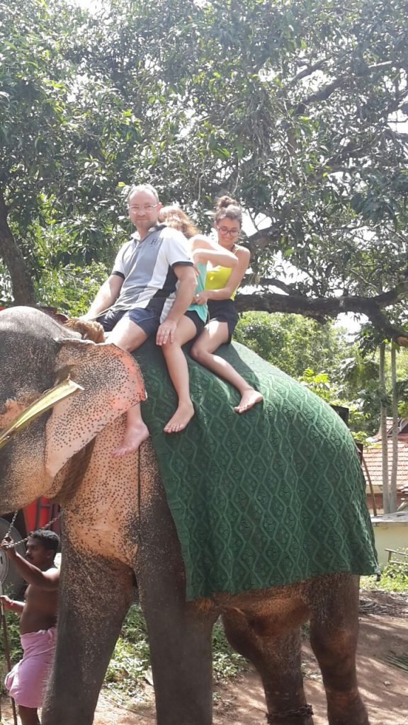 elephant ride in kerala