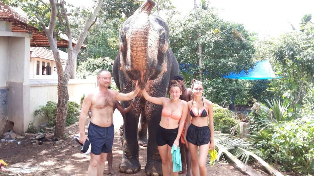 elephant ride varkala
