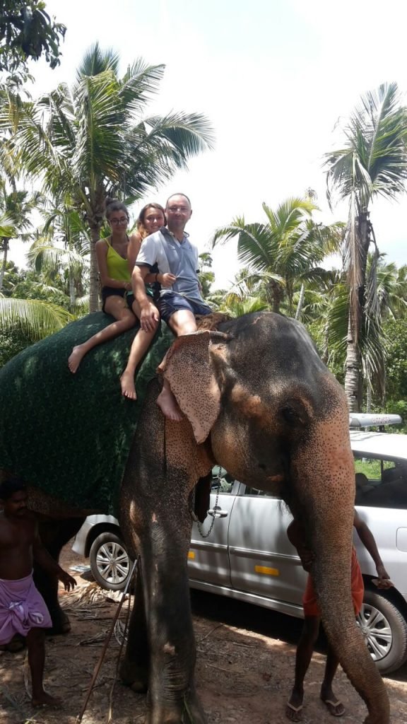 elephant safari trivandrum
