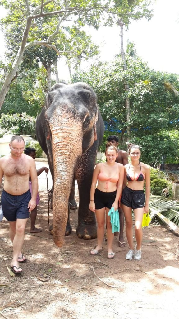 elephant ride tour kerala