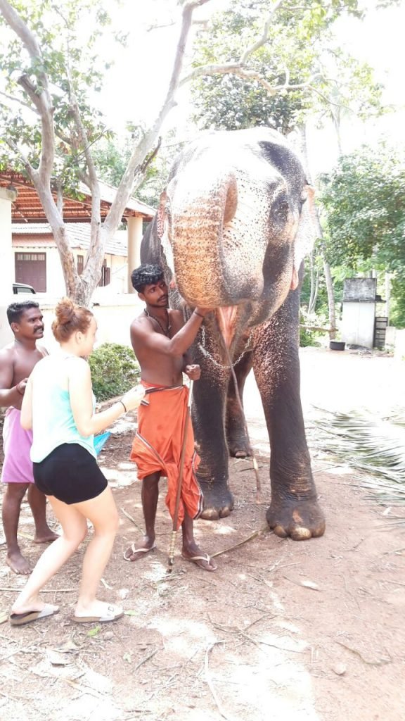 trivandrum elephant ride