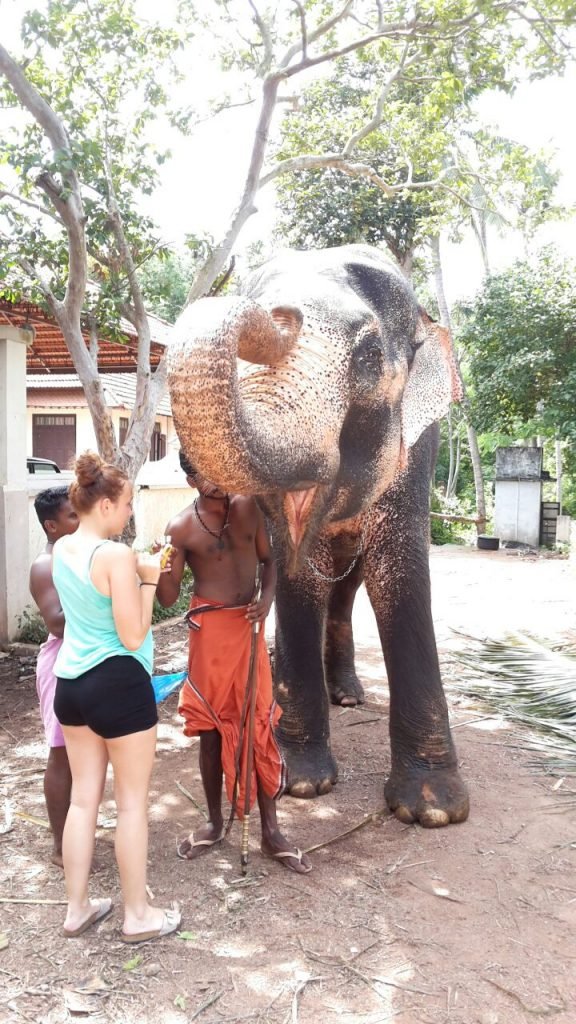elephant tour trivandrum