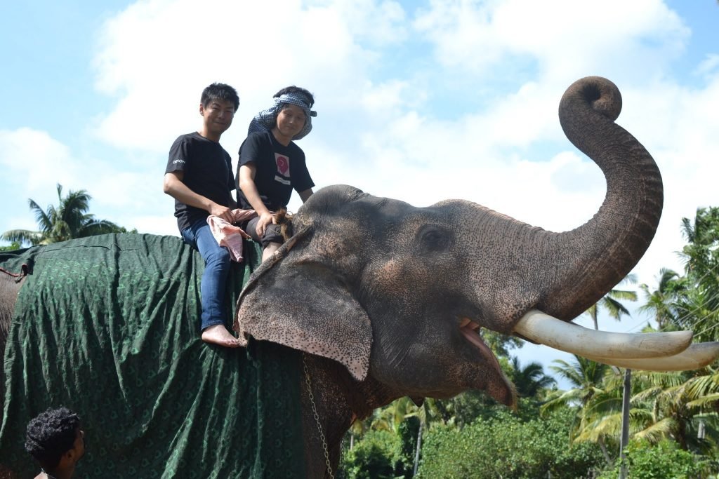 ELEPHANT RIDE KOVALAM BEACH