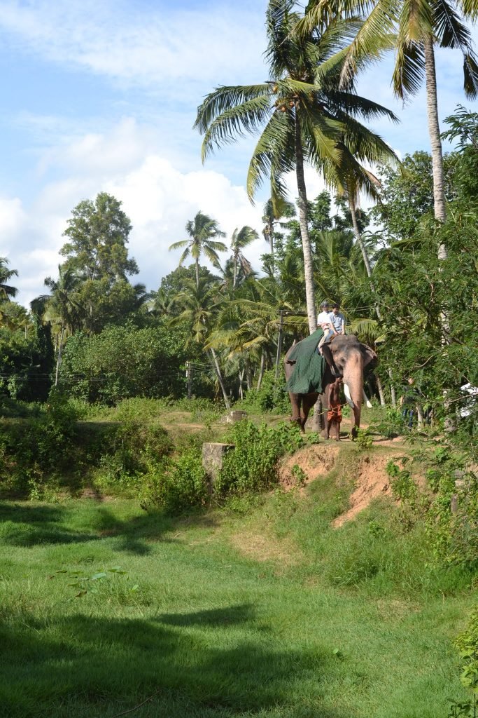 ELEPHANT RIDE KOVALAM BEACH