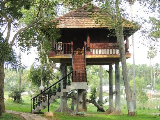 Kerala Tree House Packages Kovalam Tour Packages Book Kovalam