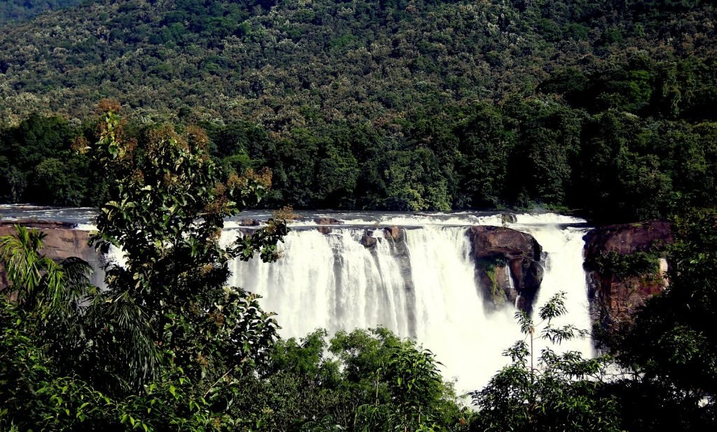 Cochin Day Trip-Athirappilly Waterfall Tour