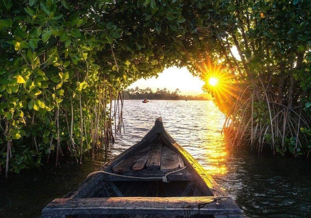 KOLLAM HOUSEBOAT CRUISE LATEST PHOTOS