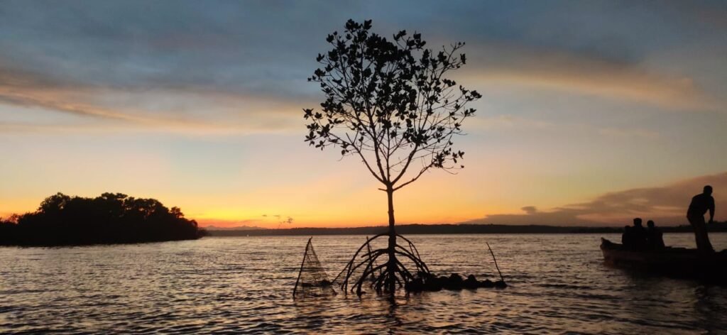 kollam houseboat tour -munroe island canoeing tour