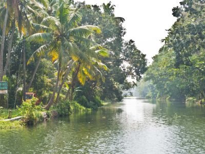 ALLEPPEY TO KOLLAM HOUSEBOAT CRUISE