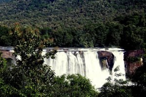 Cochin Day Trip-Athirappilly Waterfall Tour