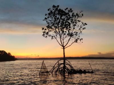 kollam houseboat tour -munroe island canoeing tour