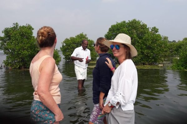 VARKALA HOUSEBOAT TOUR SAMBRANIKODI ISLAND VISITS